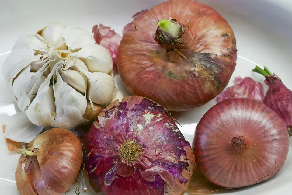 How to Easily Grow Garlic and Onions at Home