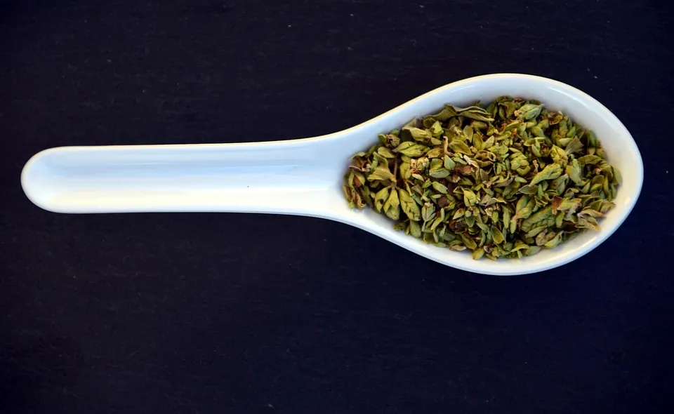 Dry oregano on a spoon