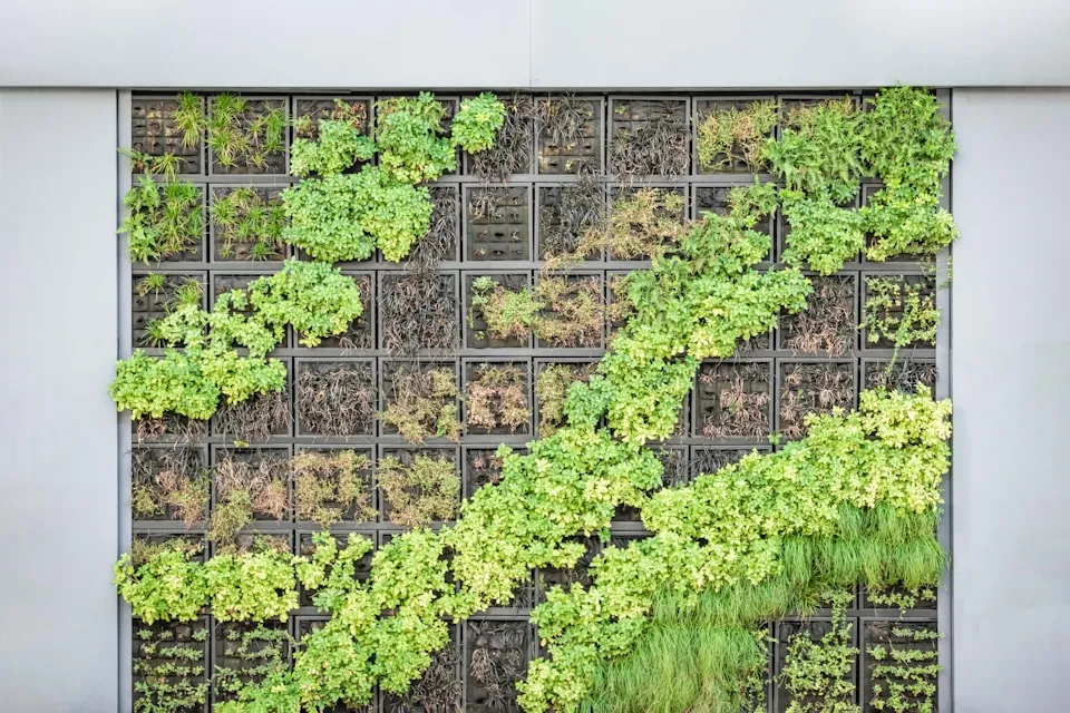 Vertical Garden Wall